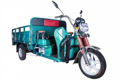 Rutrike Алтай 2000 60V1500W (Светло-зеленый-1959)