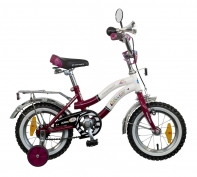 NOVATRACK ZEBRA 12" бордовый