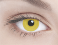 SOLID YELLOW Сплошной желтый