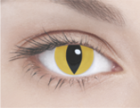 YELLOW CAT Желтая кошка
