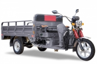 Rutrike Алтай 2000 60V1500W (Серый-2052)